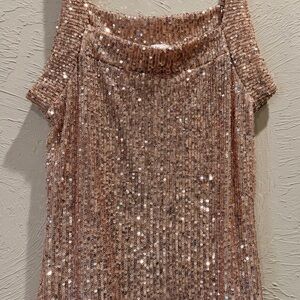 Women’s Sparkly Sequin Sleeveless Top
Sz M